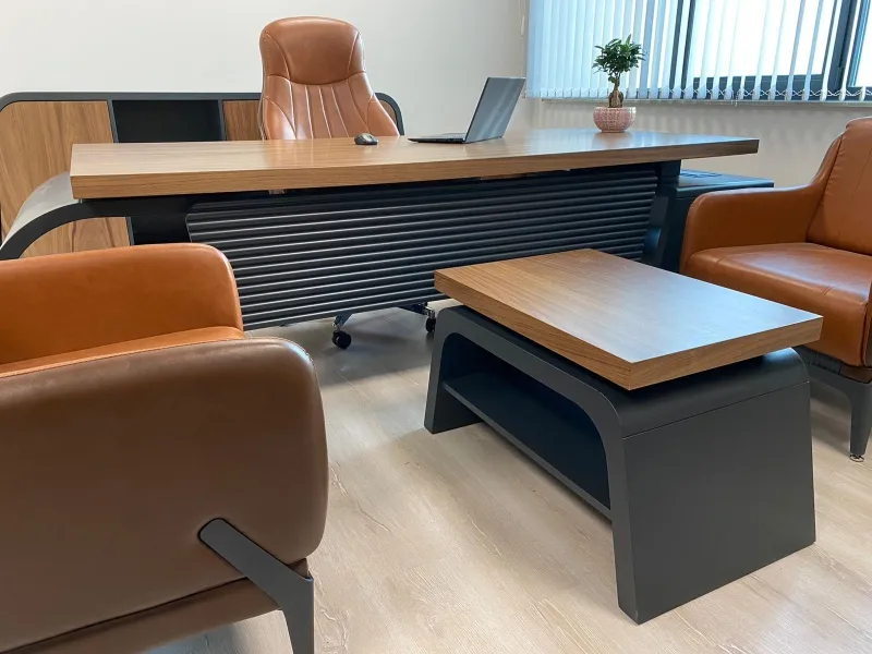 MALİ MÜŞAVİR BADEGÜL TÜRKYILMAZ