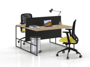 FEBRONİ İKİLİ ÇALIŞMA MASASI